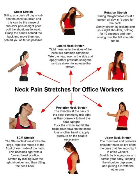 Neck stretches | Neck pain stretches, Neck pain relief, Neck and ...