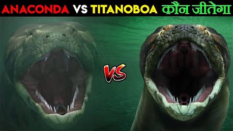 Anaconda और Titanoboa की लड़ाई में कोन जीतते गए | Anaconda Vs Titanoboa ...