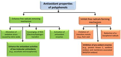 The role of polyphenols in poultry nutrition - Abdel‐Moneim - 2020 ...