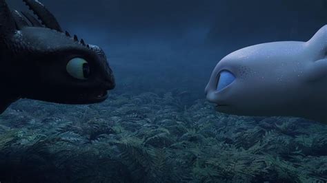 Toothless first met Light Fury | How to Train Your Dragon: The Hidden ...