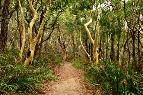 Holiday Making At Hyams Beach | Places to visit, Australia photos ...