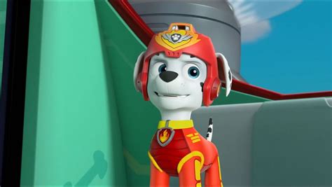 Air pup Marshall | Cachorros, Patrulla de cachorros, Dibujos de paw patrol