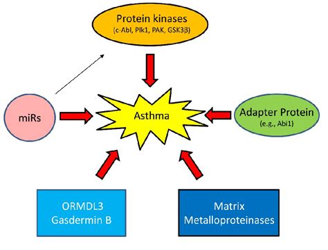 Figure 3 from Current Understanding of Asthma Pathogenesis and ...