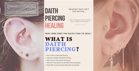 How to Reduce Pain during Daith Piercing Healing - upsmash