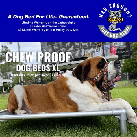 ChewProof Dog Beds: Best Indestructible Beds in Australia