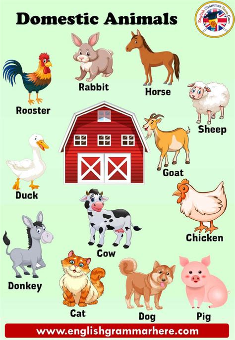 Domestic Animals Names, Definition and Examples - English Grammar Here