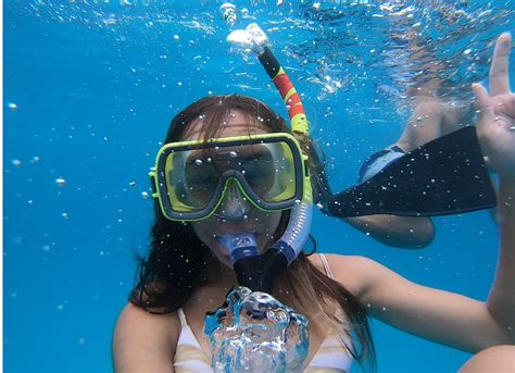 A Guide to Snorkeling on the Big Island | Dolphin Discoveries