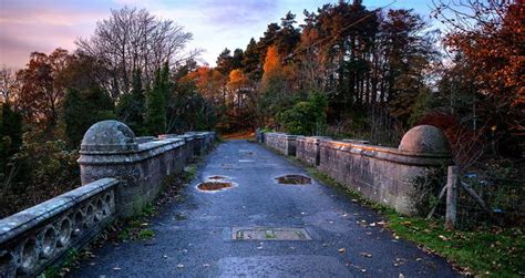 Overtoun Bridge: Solving The Mystery Of Scotland's Dog Suicide Hotspot