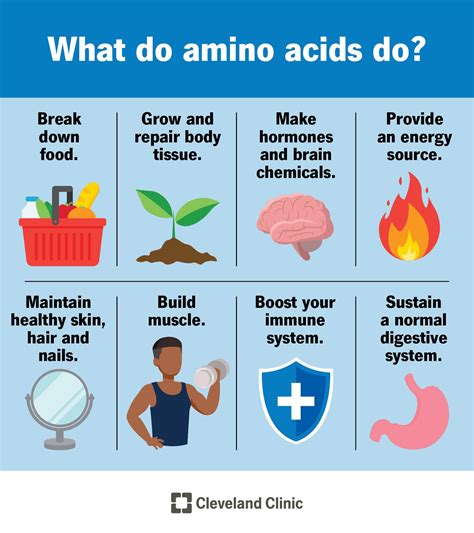 Amino Acid: Benefits & Food Sources