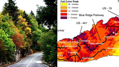 Fall Foliage Map 2024 North Carolina - Berta Celinka