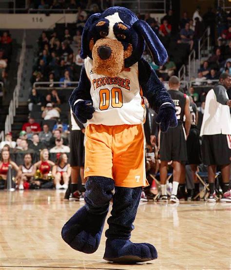 Smokey, the Tennessee Volunteers Mascot, Brings Spirit to UT Basketball ...