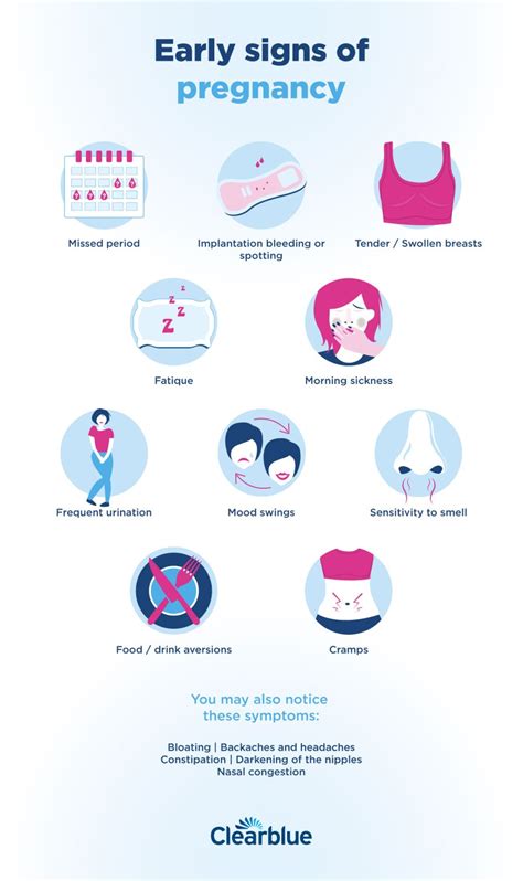 Early Pregnancy Symptoms Timeline