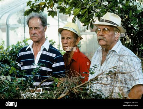 Cocoon 1985 Wilfred Brimley High Resolution Stock Photography and ...