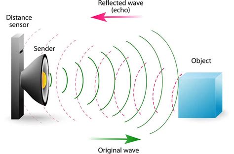 What is Bat Echolocation? - Learn About Nature