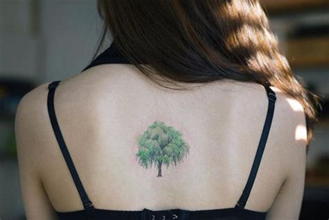 Willow Tree Tattoo Designs - NodaLukaa