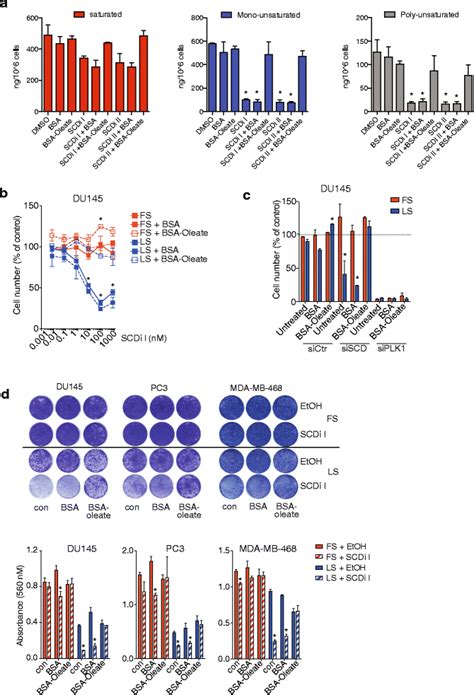 SCD maintains fatty acid desaturation to support viability of cancer ...