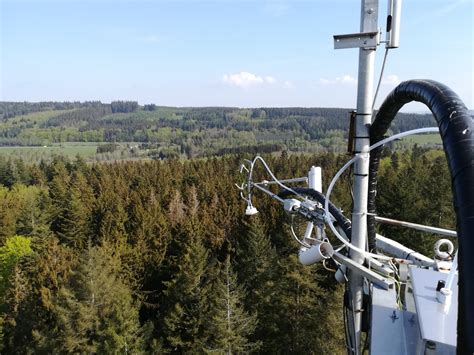 VOC measurements at the Vielsalm mixed forest site in Belgium | BIRA-IASB