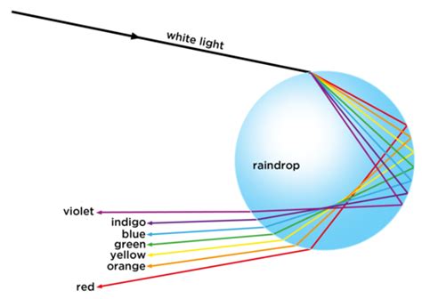 The Physics Behind Rainbow Formation