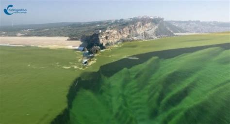 Nazare North Canyon - big waves generator - Nazaré Big Waves Surf ...