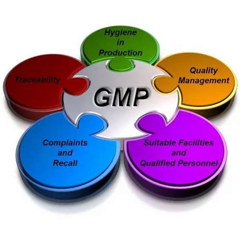 GMP Certification Service at Rs 100 in New Delhi | ID: 20484154088