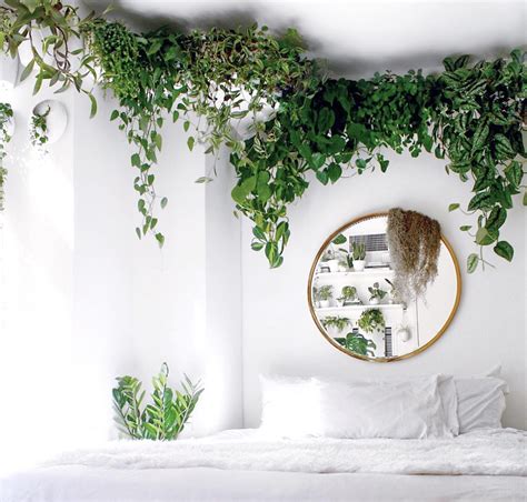 21 Houseplant Decor Ideas That Will Make Your Home 200% Prettier ...