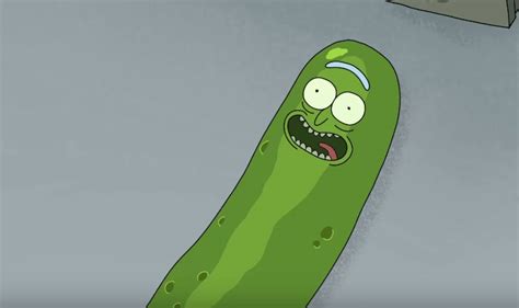 Pickle Rick is already everyone’s favorite character from Rick and ...