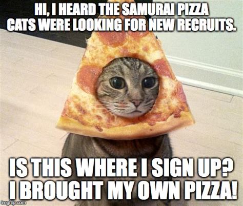 Pizza Cat - Imgflip