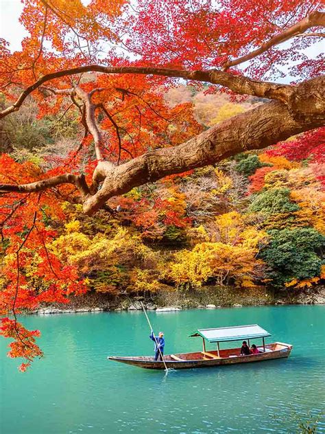 Japan Fall Foliage Guide 2018 | VELTRA