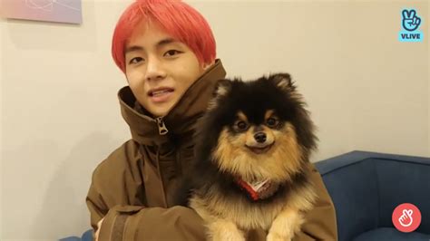 Bts With Yeontan : V's Dog Yeontan Just Made His Singing Debut...sort ...