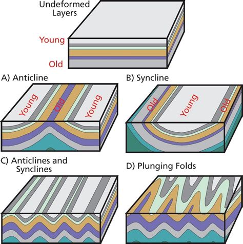 Tectonic Folding (U.S. National Park Service)