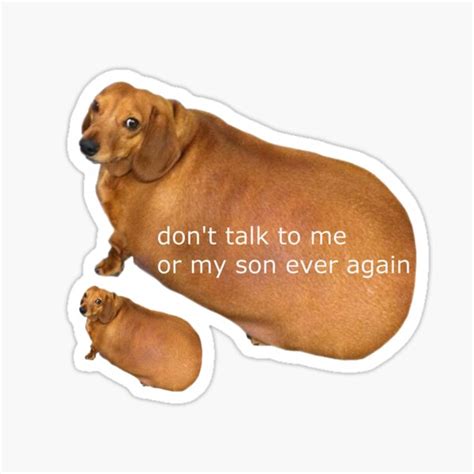 "Dont talk to me or my son ever again Memes" Sticker for Sale by ...