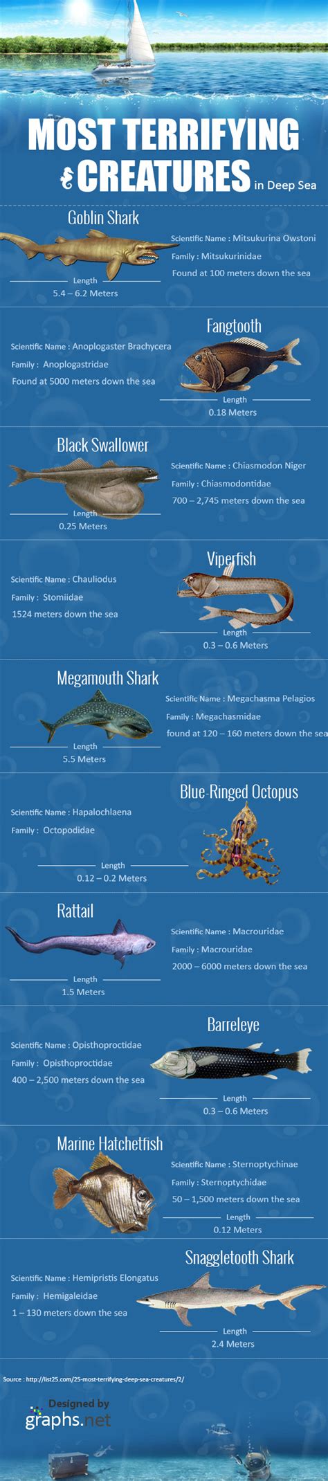 Maritime infographic: The Most Terrifying Creatures in Deep Sea ...