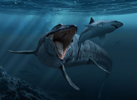 Mosasaurus | Prehistoric creatures, Prehistoric, Sea monsters