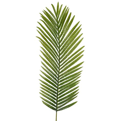 Large Decorative Areca Palm Leaf | Available Online – Serene Spaces Living