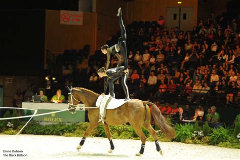 Vaulting | Kāpiti Equestrian & Vaulting Centre