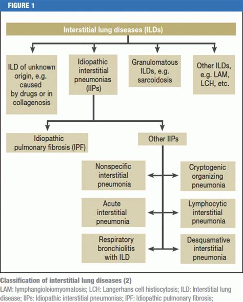 Diagnostic Criteria For Idiopathic Pulmonary Fibrosis The Lancet | Hot ...