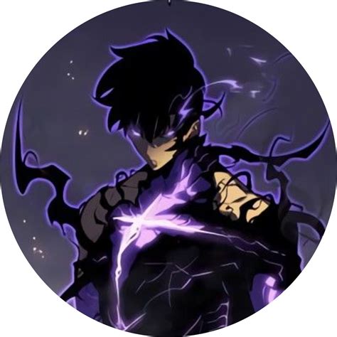 Solo Leveling PFP Collection(Anime Edition)