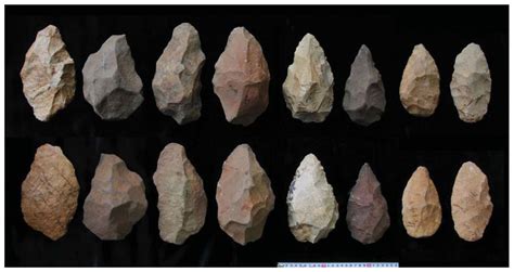 Did rise of ancient human ancestor lead to new stone tools? -- Secret ...