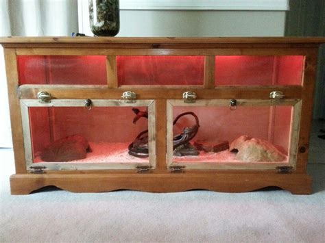 DIY Snake Enclosure | Snake enclosure, Reptile enclosure, Reptile cage