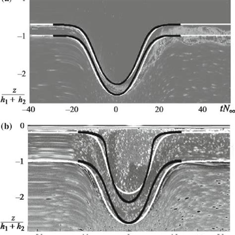 (PDF) Large Internal Solitary Waves in Shallow Waters