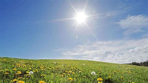 Dry sunny day with temperatures hitting 22 | Meath Chronicle