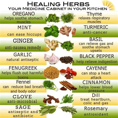 Healing Herbs | Healing herbs, Herbs, Remedies for nausea