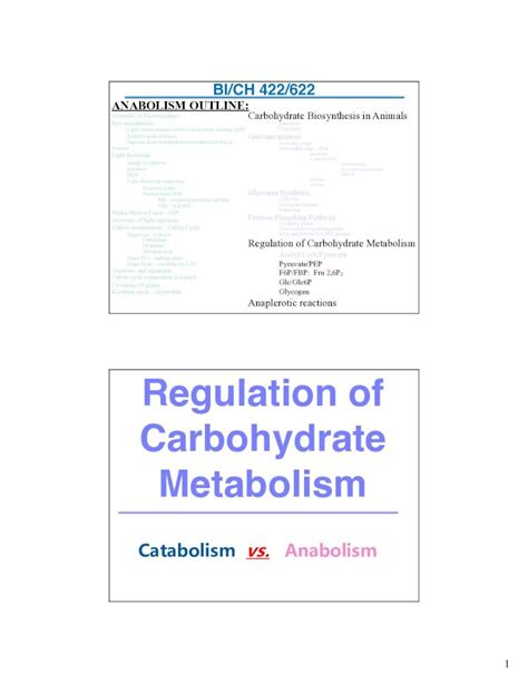 (PDF) Regulation of Carbohydrate Metabolism · Regulation of ...