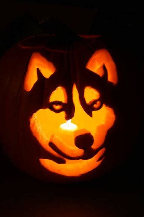 17 of the Coolest Pumpkins Carved Like Animals | Cuteness