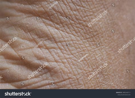 8,236 Deep wrinkles Images, Stock Photos & Vectors | Shutterstock