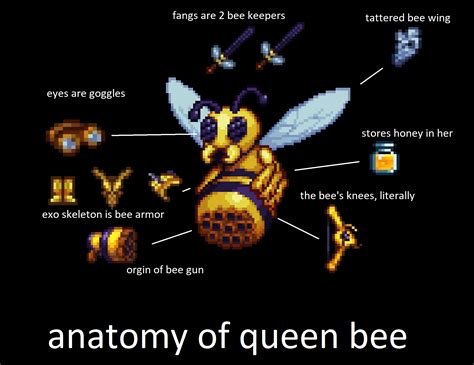 anatomy of queen bee : r/Terraria