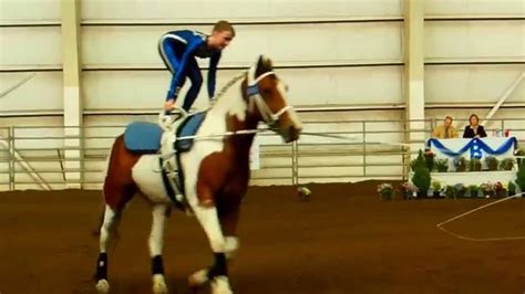 American Vaulting Championship - Gymnastics On Horseback ! (2) - YouTube