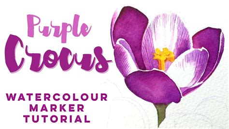 Purple Crocus painting // Winsor and Newton Watercolour marker tutorial ...