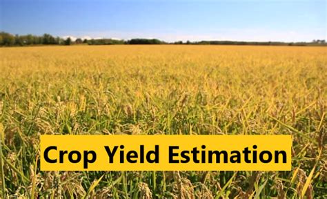 Crop Yield Estimation (Biological yield and economic yield) - Basic ...