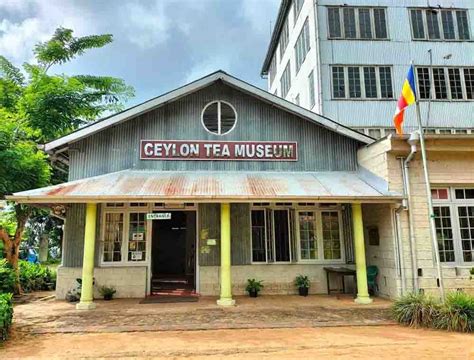 Ceylon Tea Museum in Kandy (Hanthana) - Mahaweli.lk